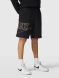 Шорти Nike Club+ Ft Mcf (DX0807-010), L