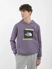 Толстовка The North Face Es Graphic Hoodi (NF0A83FKN14)