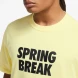 Чоловіча Футболка Nike M Nk Sb Tee Spring Break (DX9457-706)