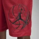 Шорты мужские Jordan Dri-FIT Sport BC (DZ0569-687)