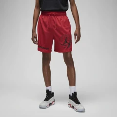 Шорты мужские Jordan Dri-FIT Sport BC (DZ0569-687)