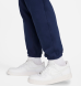 Брюки Мужские Nike Club Fleece Cuffed (FV4453-410), L