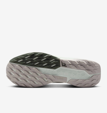 Кроссовки мужские Nike Pegasus Trail 5 Gore-Tex (FQ0908-102), EUR 45