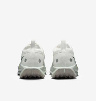 Кроссовки мужские Nike Pegasus Trail 5 Gore-Tex (FQ0908-102), EUR 45