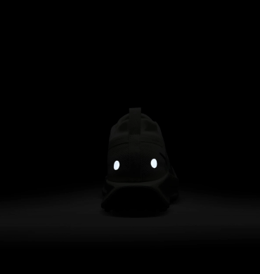 Кроссовки мужские Nike Pegasus Trail 5 Gore-Tex (FQ0908-102), EUR 45