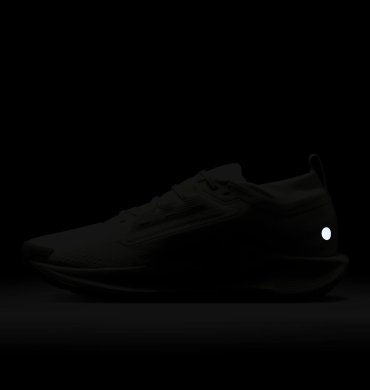 Кроссовки мужские Nike Pegasus Trail 5 Gore-Tex (FQ0908-102), EUR 45