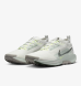 Кроссовки мужские Nike Pegasus Trail 5 Gore-Tex (FQ0908-102), EUR 44,5