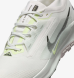 Кроссовки мужские Nike Pegasus Trail 5 Gore-Tex (FQ0908-102), EUR 44,5