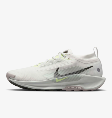 Кроссовки мужские Nike Pegasus Trail 5 Gore-Tex (FQ0908-102)
