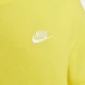 Мужская футболка Nike M Nsw Club Tee (AR4997-732)