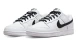 Мужские кроссовки Nike Dunk Low Retro (DJ6188-101), EUR 43