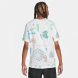 Футболка мужская Nike Festival All Over Print (FB9780-100), L