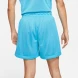 Шорти чоловічі Nike Dri-Fit Standard Issue X Space Jam 2 (DJ3896-434), XL