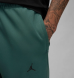 Штаны Air Jordan Sport Hoop Fleece Dri-Fit (FV8604-366)