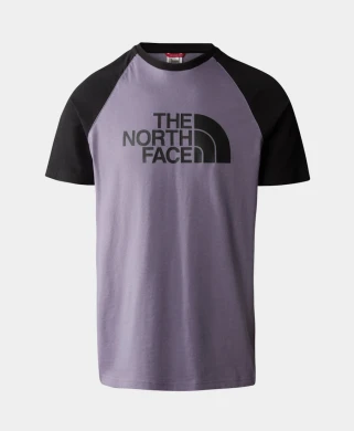 Футболка North Face S/s Raglan Ea (NF0A37FVN141)