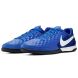 Футзалки Nike Legend 8 Academy Ic (AT6099-414), EUR 45
