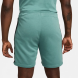Шорты мужские Nike Air French Terry (FN7701-361), S