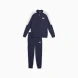 Спортивный Костюм Мужской Puma Baseball Tricot Suit (67742806), L