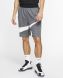 Баскетбольні шорти Nike Dri-FIT (BV9385-068), XL