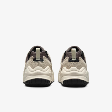 Женские кроссовки Nike Tech Hera Beige (DR9761-007), EUR 36,5