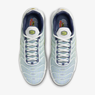 Кросівки чоловічі Nike Air Max Plus TN 'Wave Grid' (HV6227-001), EUR 41