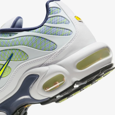 Кросівки чоловічі Nike Air Max Plus TN 'Wave Grid' (HV6227-001), EUR 41