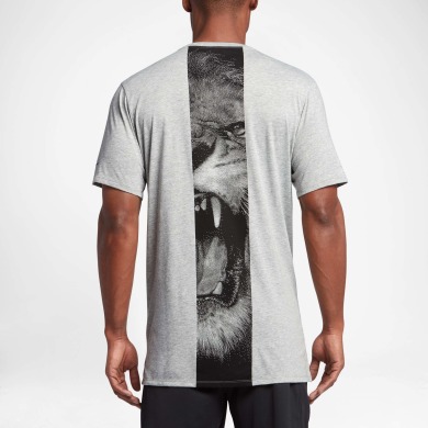 Оригинальная футболка Nike LeBron Dry Lion Stripe (831091-063), M
