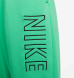 Штани жіночі Nike NSW Ft Os Hr (FJ4922-363)