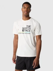 Футболка The North Face Foundation Graphic (NF0A55EFQ4C1)