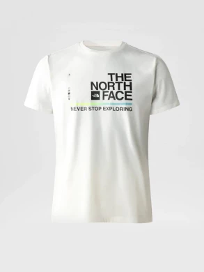 Футболка The North Face Foundation Graphic (NF0A55EFQ4C1), S