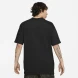 Футболка Nike ACG Big Logo (DJ3644-010), M