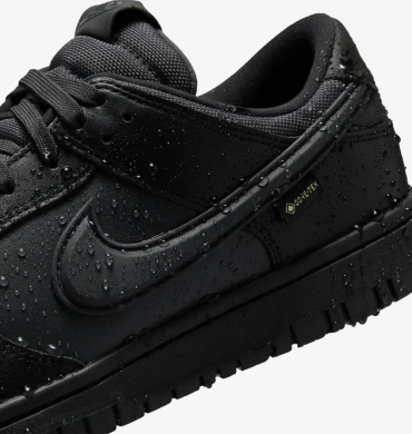 Кроссовки мужские Nike Dunk Low GTX 'Triple Black' (HQ2053-001), EUR 42,5