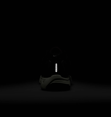 Кросівки Nike Air Pegasus 2005 'Baroque Brown' (HQ5403-200)