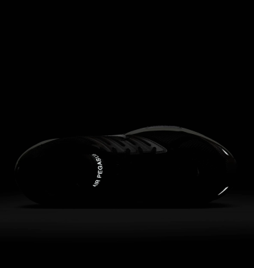 Кросівки Nike Air Pegasus 2005 'Baroque Brown' (HQ5403-200)