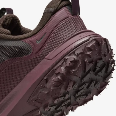 Чоловічі кросівки Nike ACG Mountain Fly 2 Low Gore-Tex 'Brown' (HF6245-200), EUR 36,5