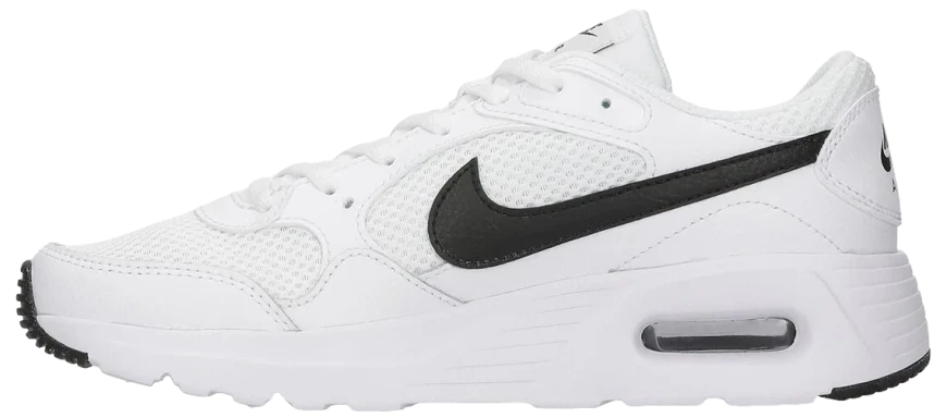 Подростковые кроссовки Nike Air Max Sc (GS) (CZ5358-102)