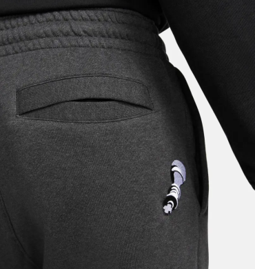 Штаны мужские Nike LeBron Fleece (DQ6145-032)