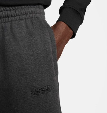 Штаны мужские Nike LeBron Fleece (DQ6145-032)